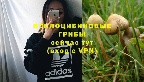 первитин Абинск
