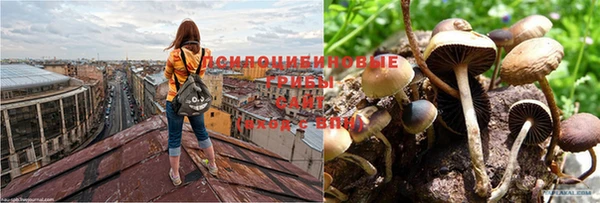 мяу мяу кристалл Алексеевка